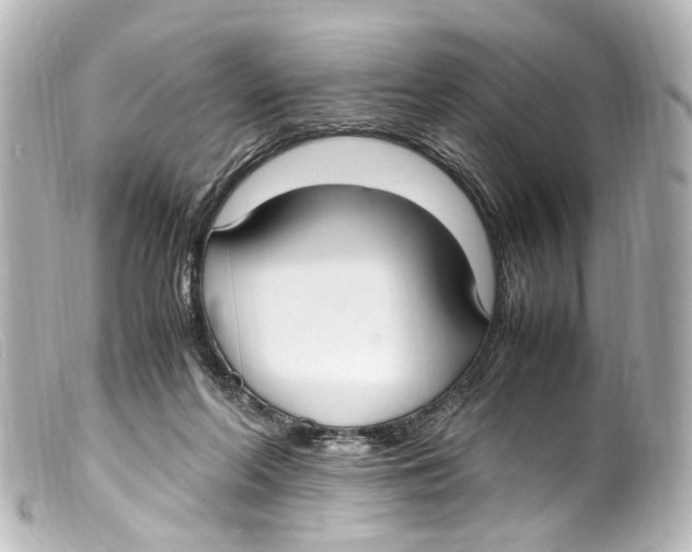 X0000099400214200805291217