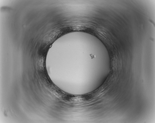 X0000099400219200805291217