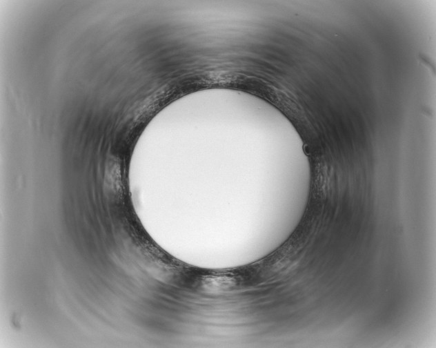 X0000099400220200805291217