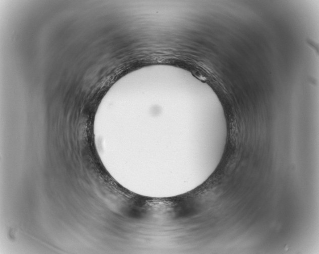 X0000099400221200805291217