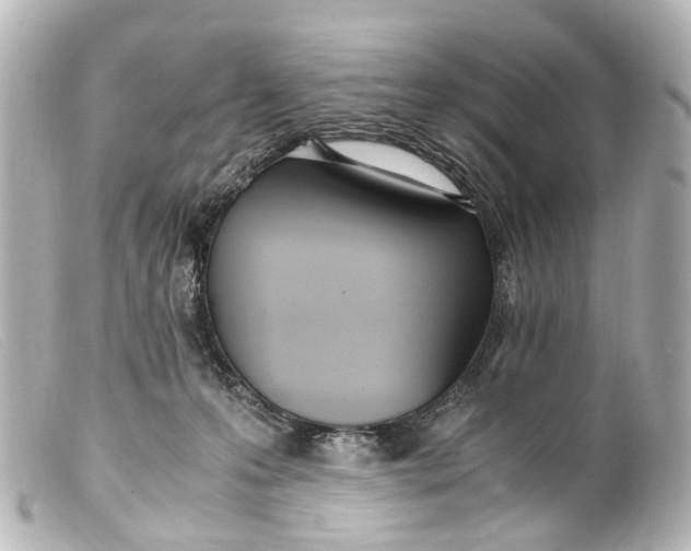 X0000099400223200805291217