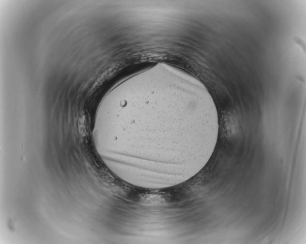 X0000099400224200805291217