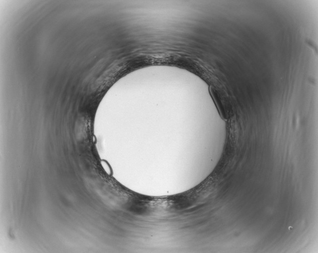 X0000099400225200805291216