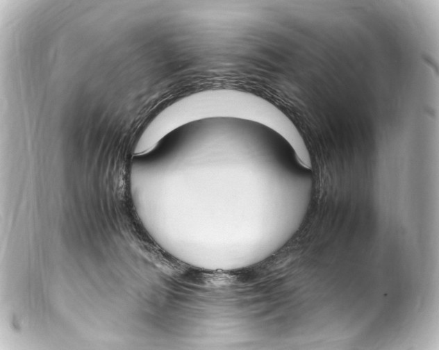 X0000099400226200805291216