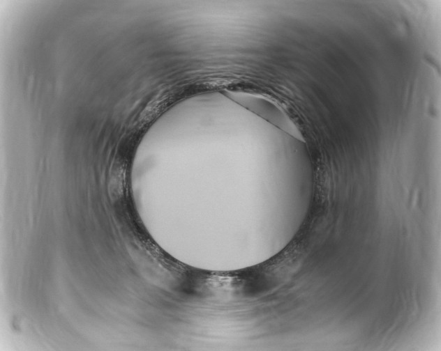 X0000099400227200805291216