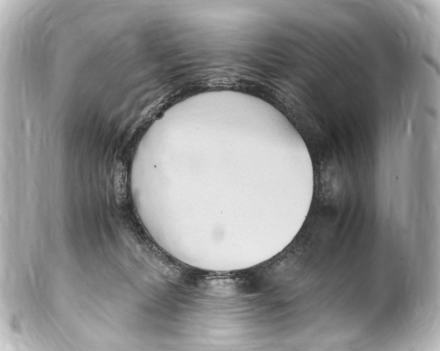 X0000099400228200805291216