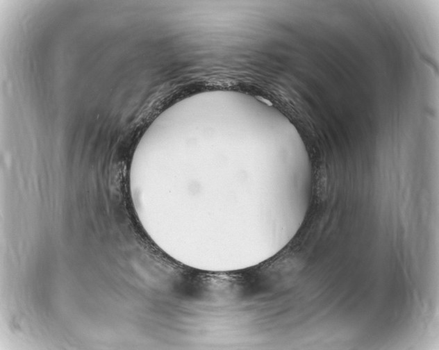 X0000099400229200805291216