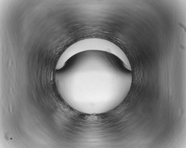 X0000099400230200805291216