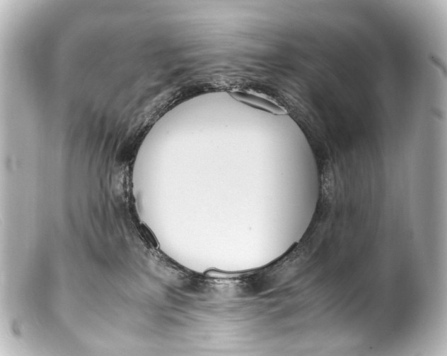 X0000099400233200805291216