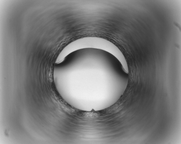 X0000099400234200805291216