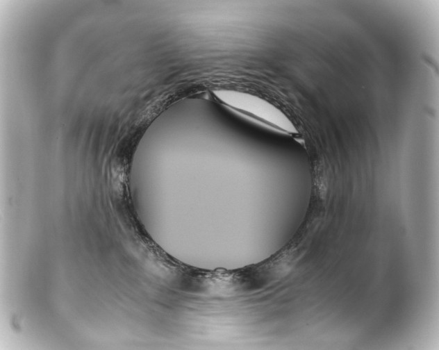 X0000099400235200805291216