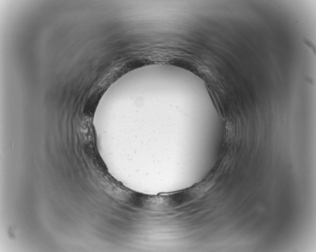 X0000099400237200805291216