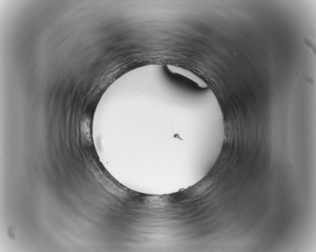 X0000099400238200805291216