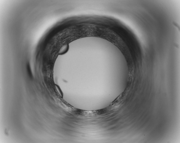 X0000099400239200805291216