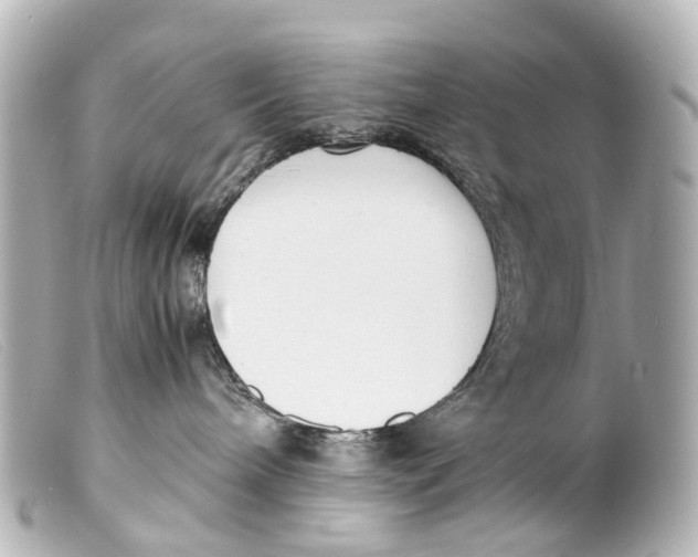 X0000099400240200805291216