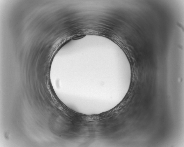 X0000099400241200805291216