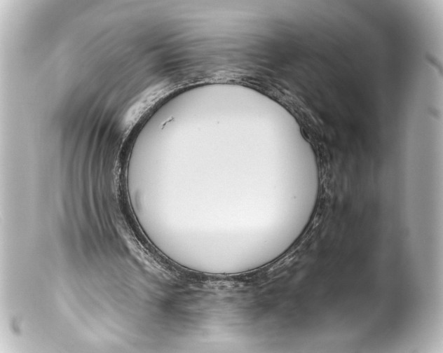 X0000099400242200805291216