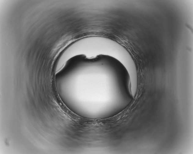 X0000099400243200805291216