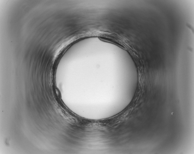 X0000099400244200805291216