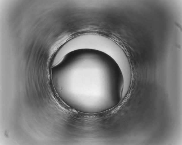 X0000099400245200805291216