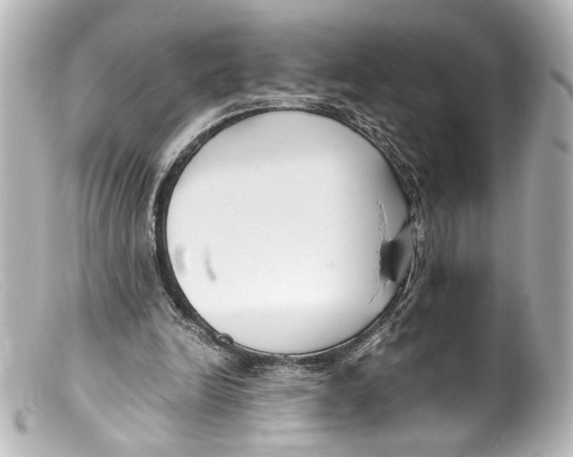 X0000099400246200805291216