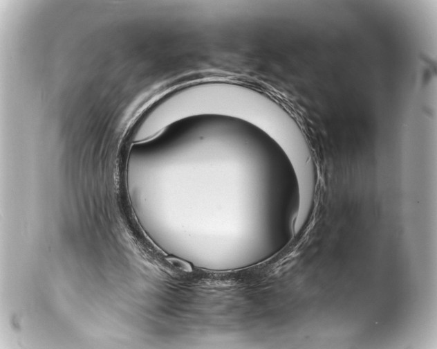 X0000099400247200805291216