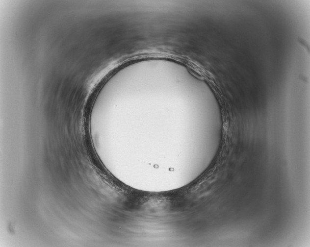 X0000099400248200805291216