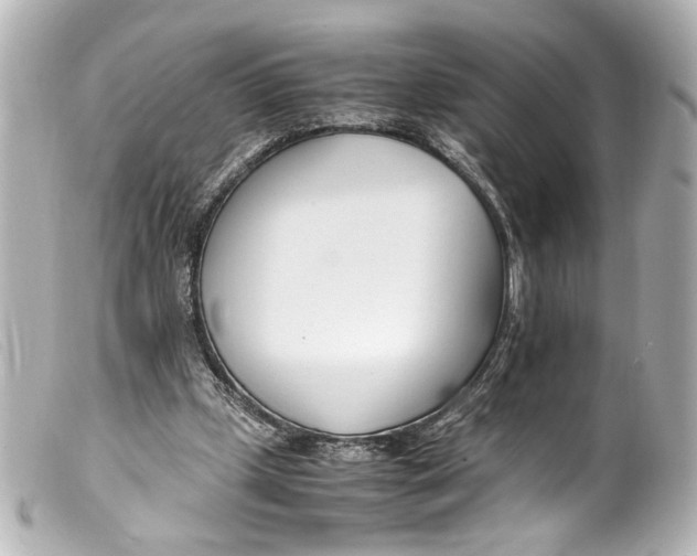 X0000099400249200805291216