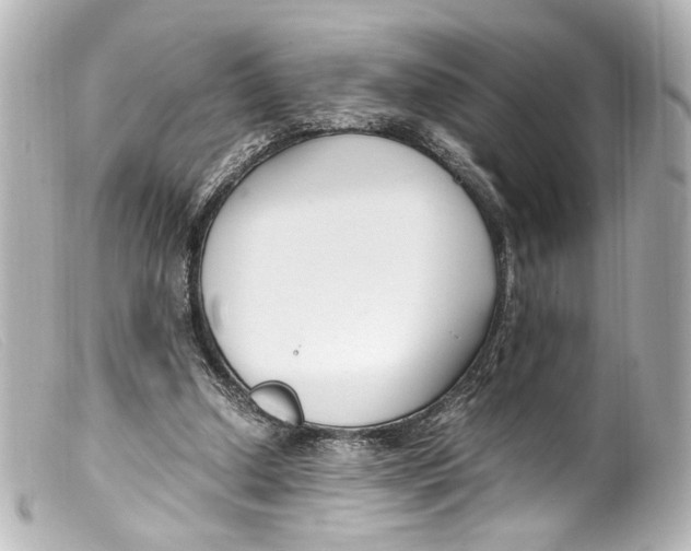 X0000099400250200805291216