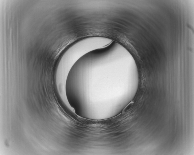 X0000099400251200805291216