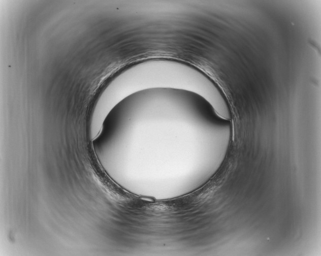 X0000099400253200805291216