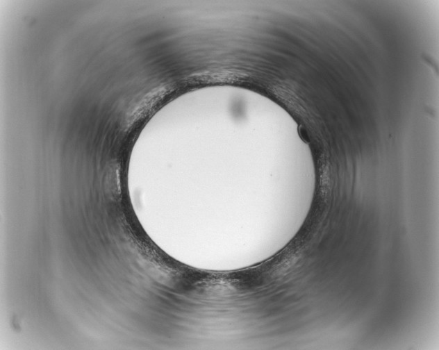 X0000099400254200805291216