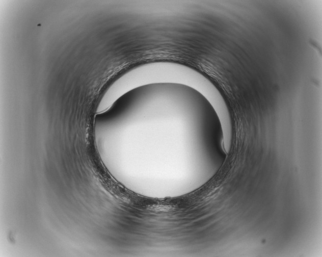 X0000099400255200805291216