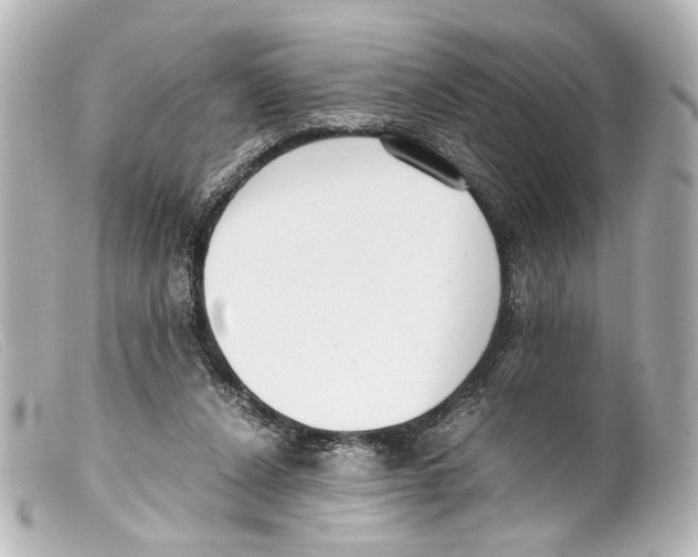 X0000099400256200805291216