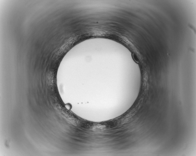 X0000099400257200805291216