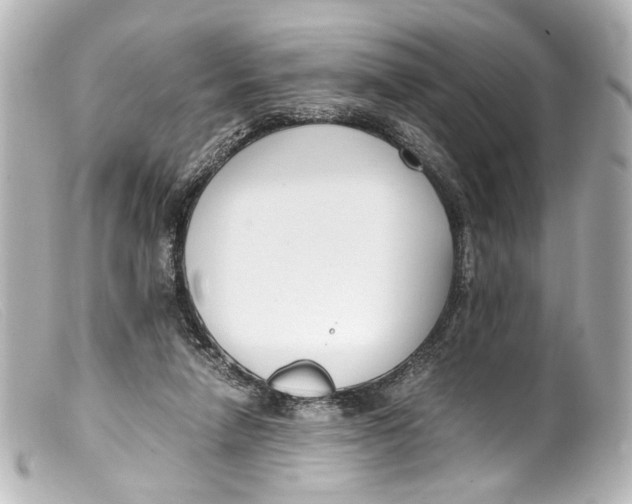 X0000099400258200805291216