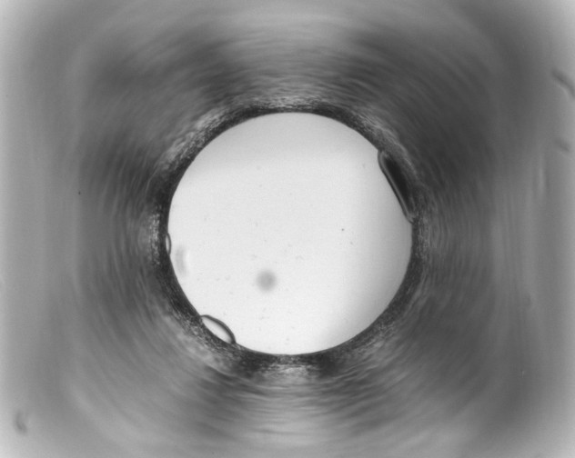 X0000099400260200805291216