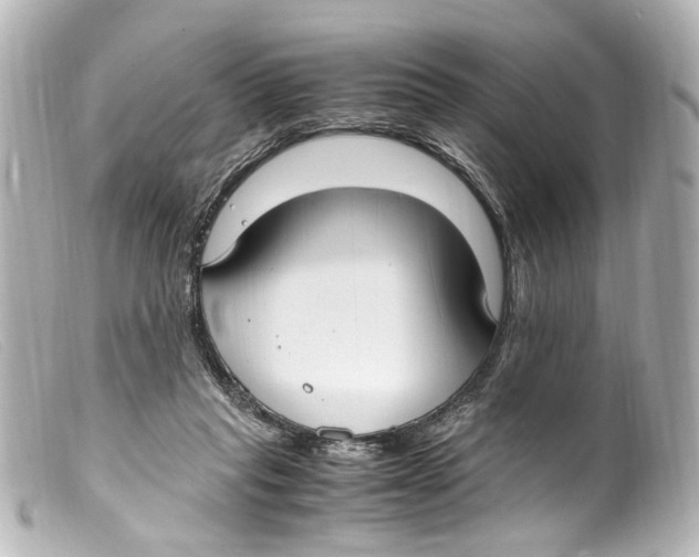 X0000099400261200805291216