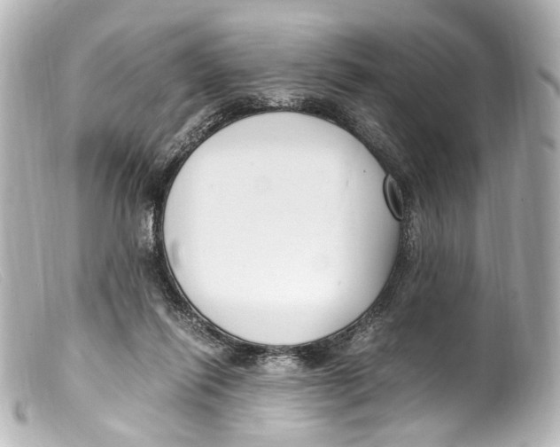 X0000099400262200805291216