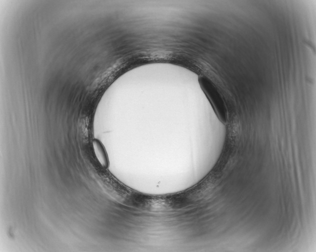 X0000099400264200805291216