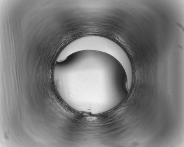 X0000099400265200805291216