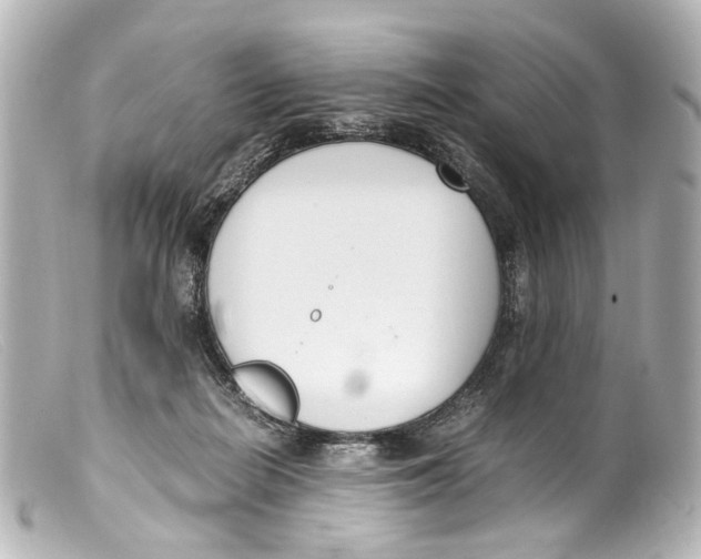 X0000099400266200805291216