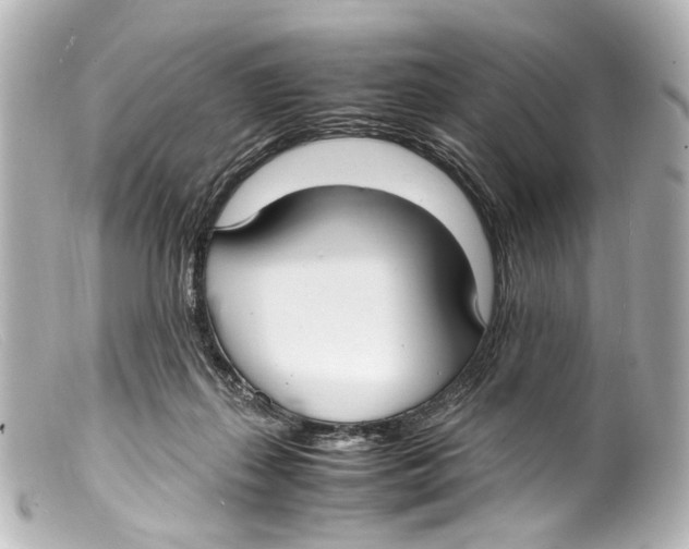 X0000099400267200805291216