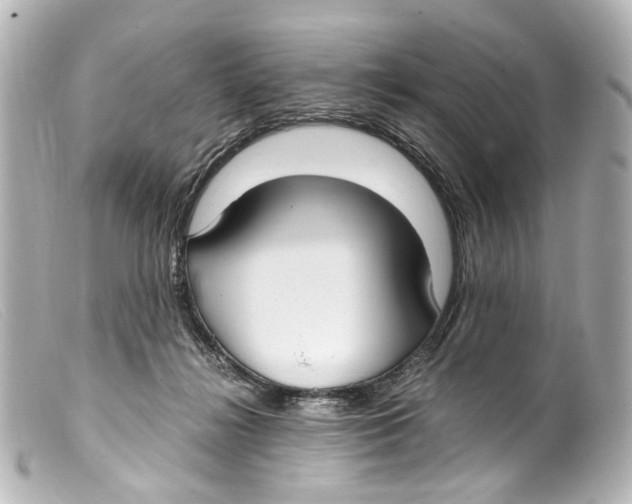 X0000099400268200805291216