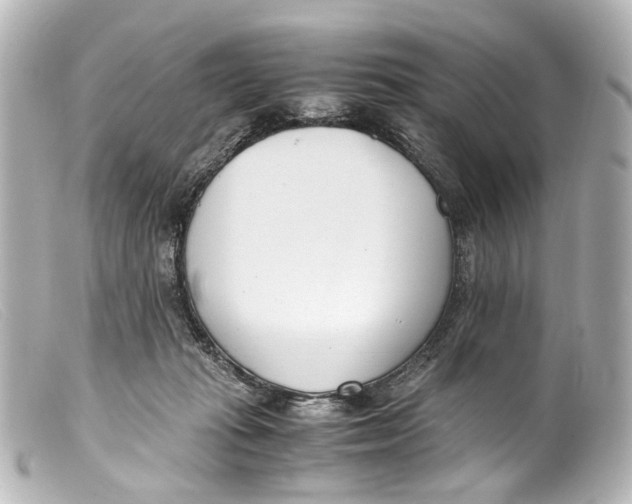 X0000099400269200805291216