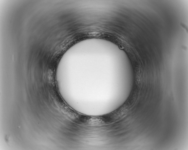 X0000099400270200805291216