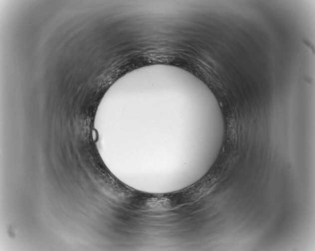 X0000099400271200805291216