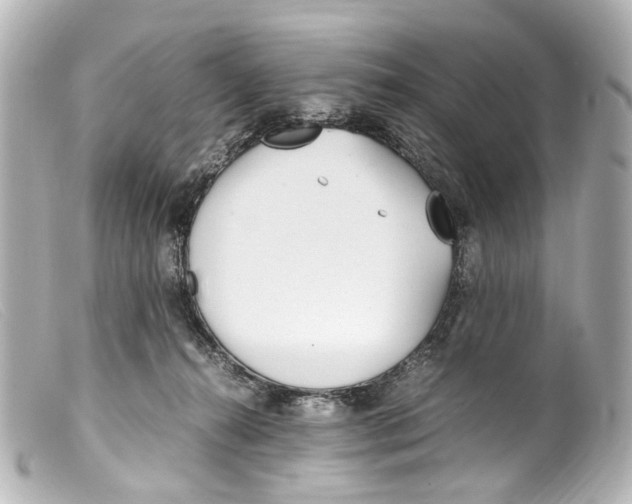 X0000099400272200805291216