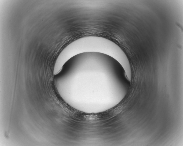 X0000099400273200805291216