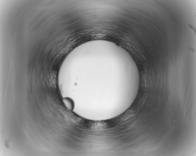 X0000099400274200805291216